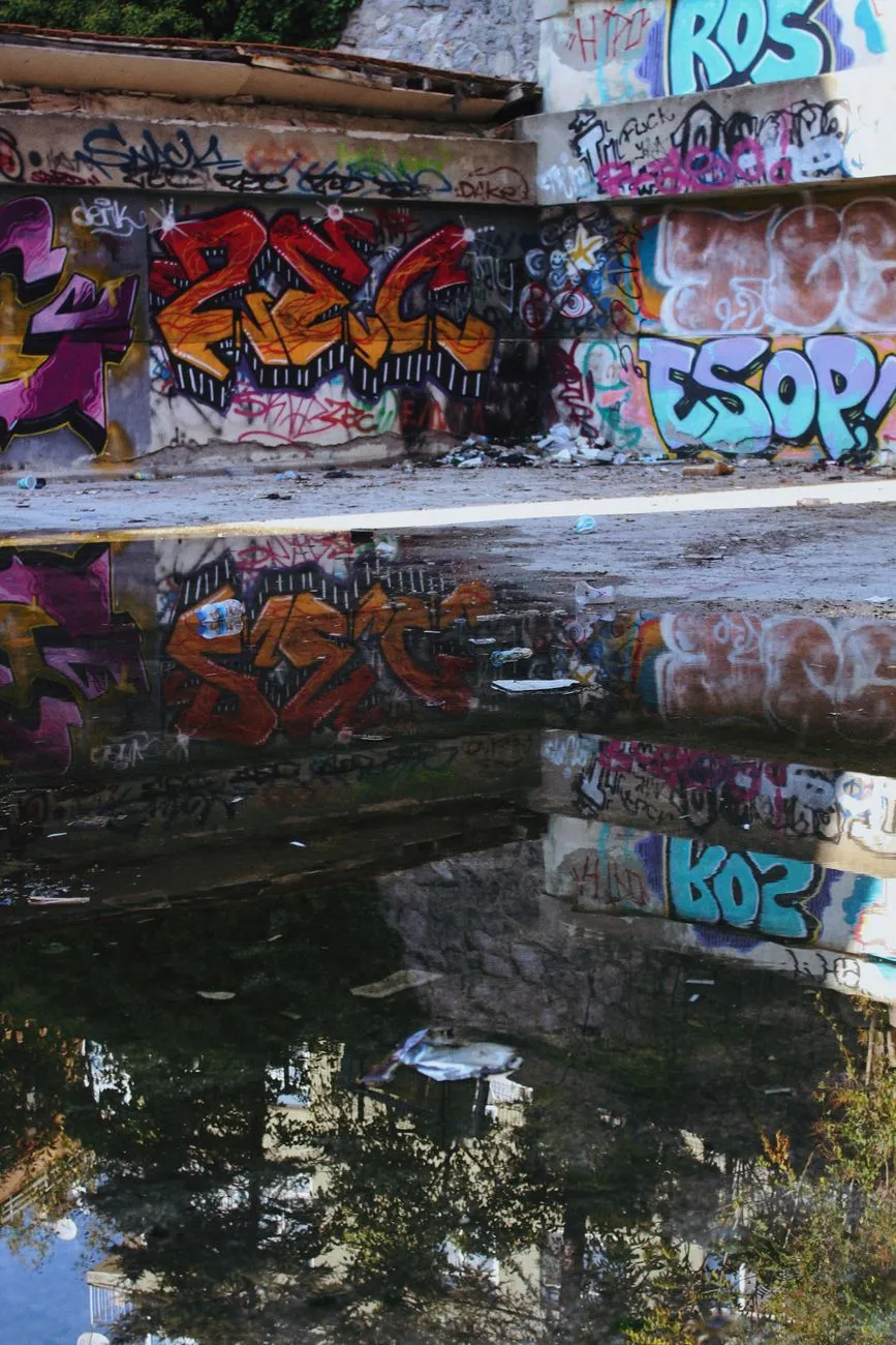 Flow remporte le Golden Street Art : quand le style bayonnais conquiert la France