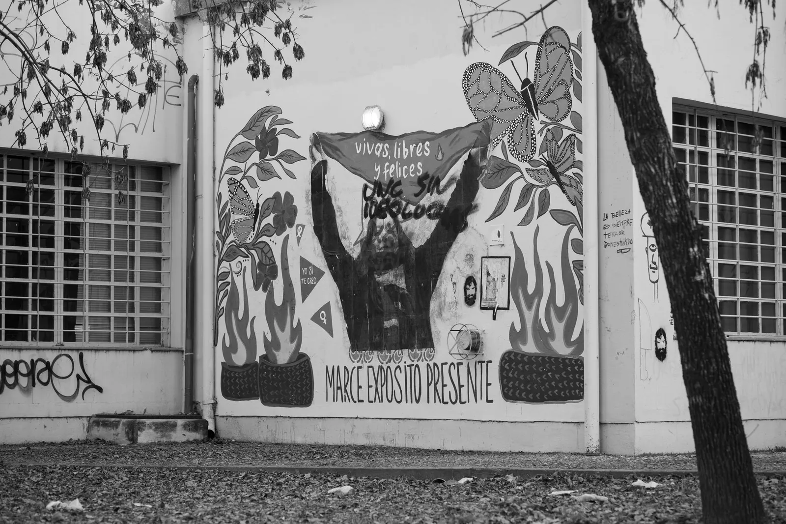 Besançon : Un Writer se Dresse Contre la Censure avec une Fresque de Solidarité