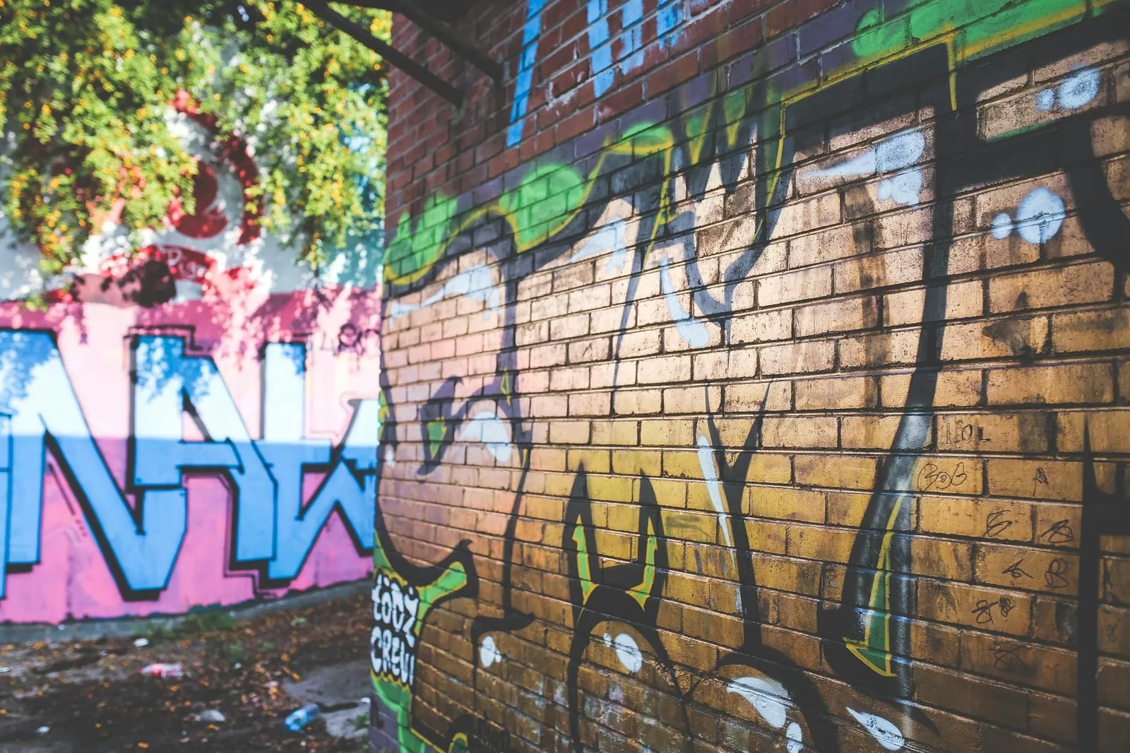 Le graffiti français s'expose : quarante ans de liberté sur les murs