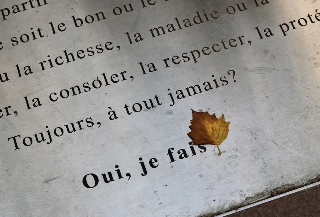 Les 5 techniques de lettrage qui redéfinissent le graffiti francophone en 2025