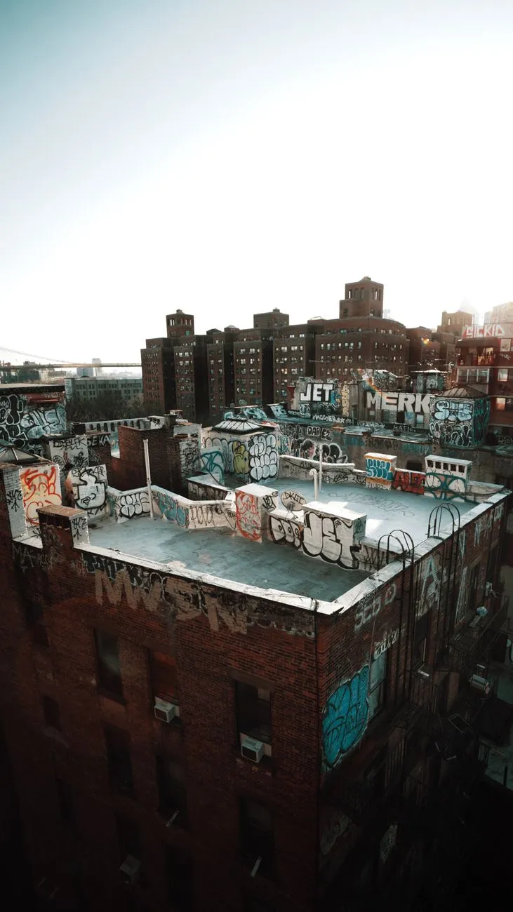 Les graffeurs américains investissent les toits de New York : quand le street art abandonne les murs